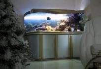 Морской аквариум в гостиной частного дома