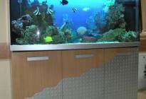 Аквариум с морским биотопом