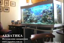 Переднее стекло аквариума имеет форму волны